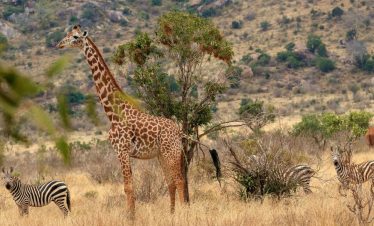 9 Days Kenya Adventure Safari