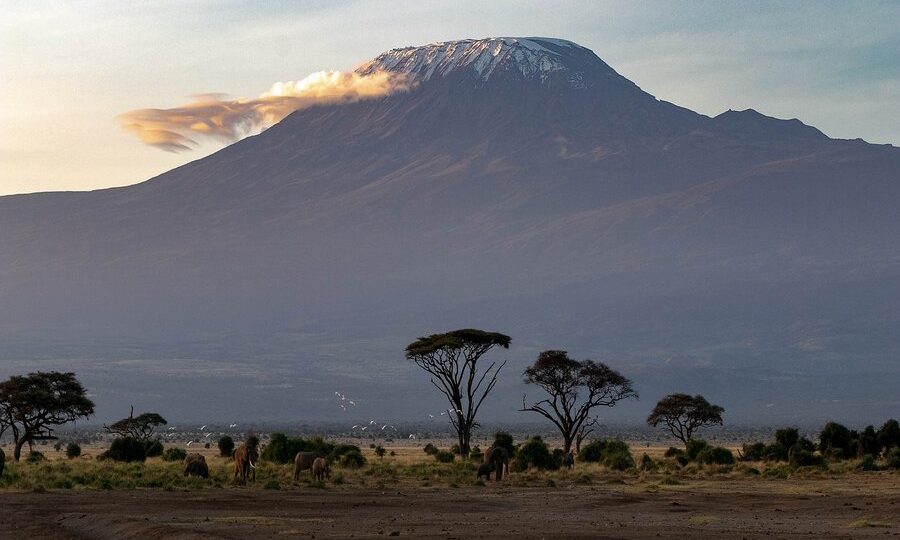 Climbing Mount Kilimanjaro