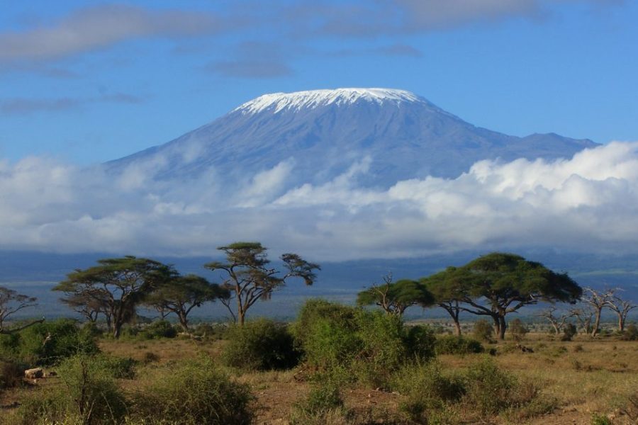 Lemosho Route 8 Days