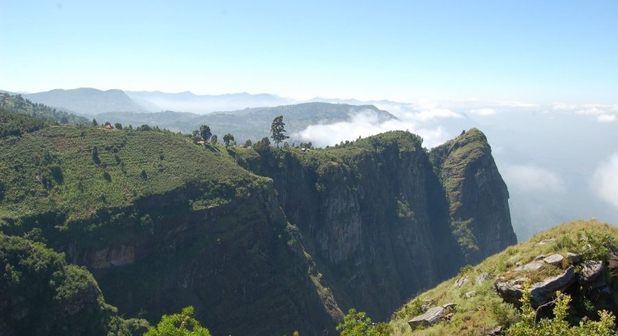 Nature Ecotourism 12 Days Tanzania Safaris