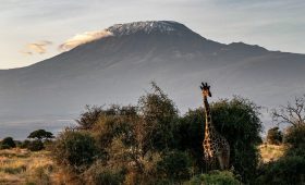 Why Climb Mt Kilimanjaro