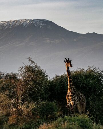Kilimanjaro Climbing