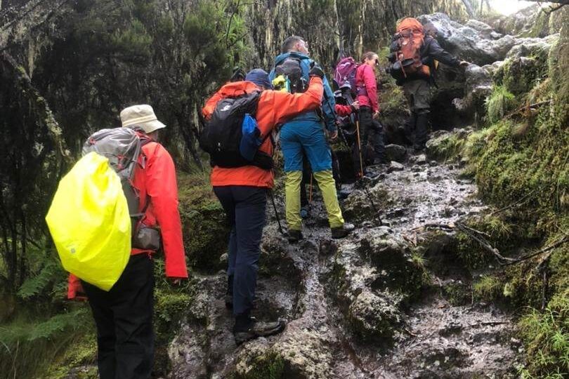 Kilimanjaro forest trekking