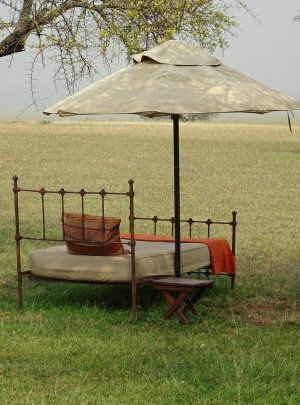 Camping safari