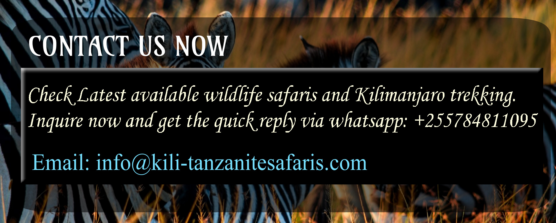 tanzania safari booking