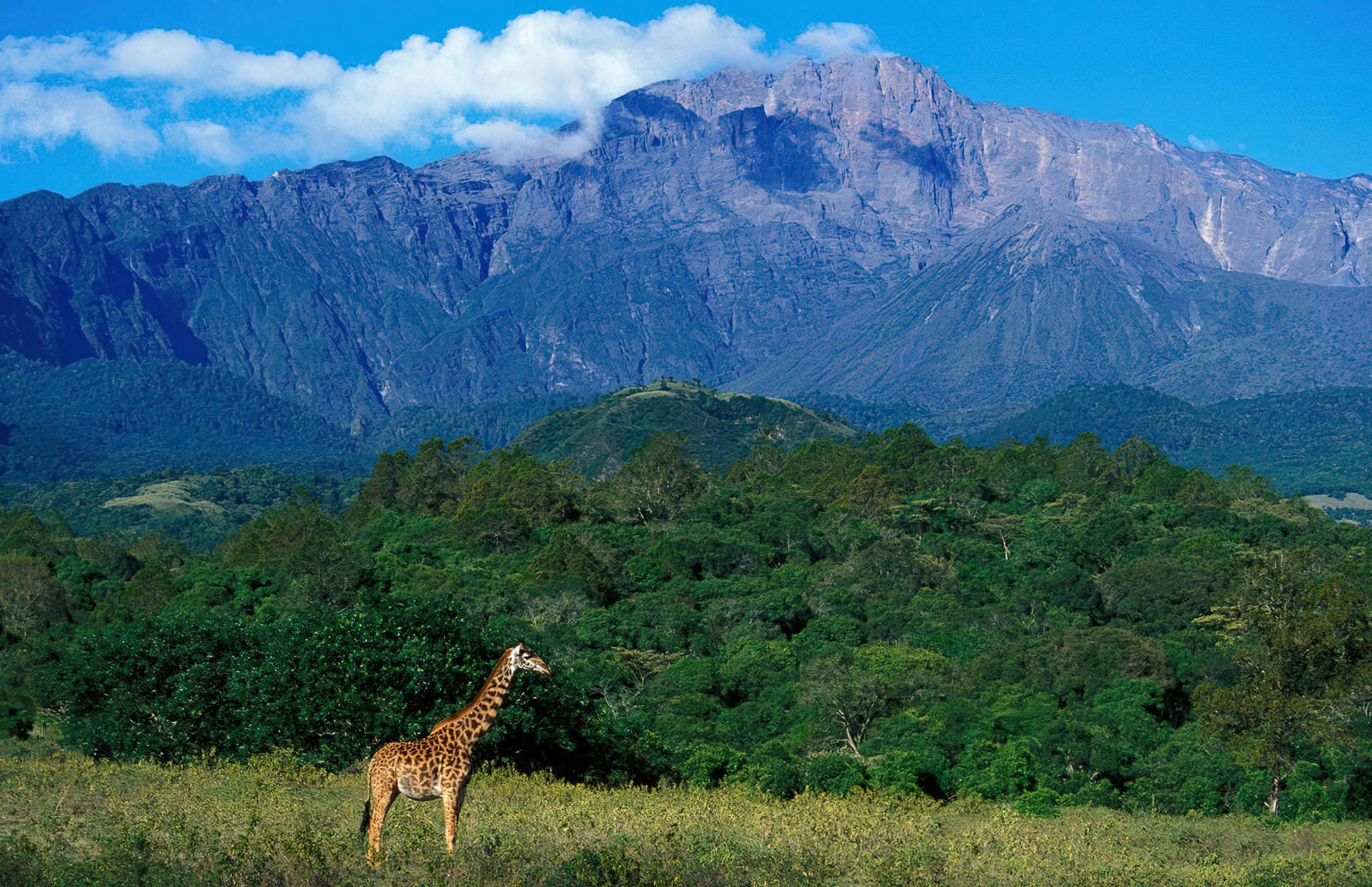 Mount Meru climb trip