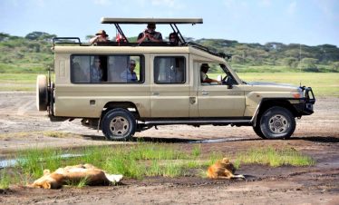 Game drive safaris camp
