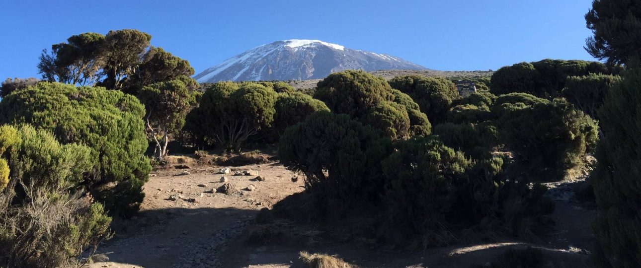 Kilimanjaro travel deals