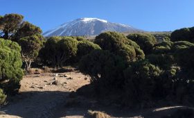 Kilimanjaro travel deals
