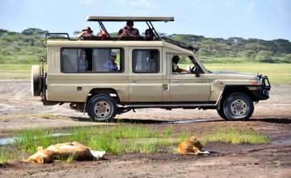 Safari joining group
