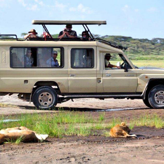 Safari joining group