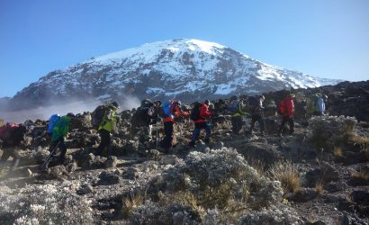 kilimanjaro
