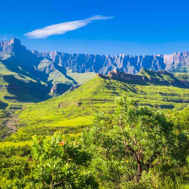 South Africa trips