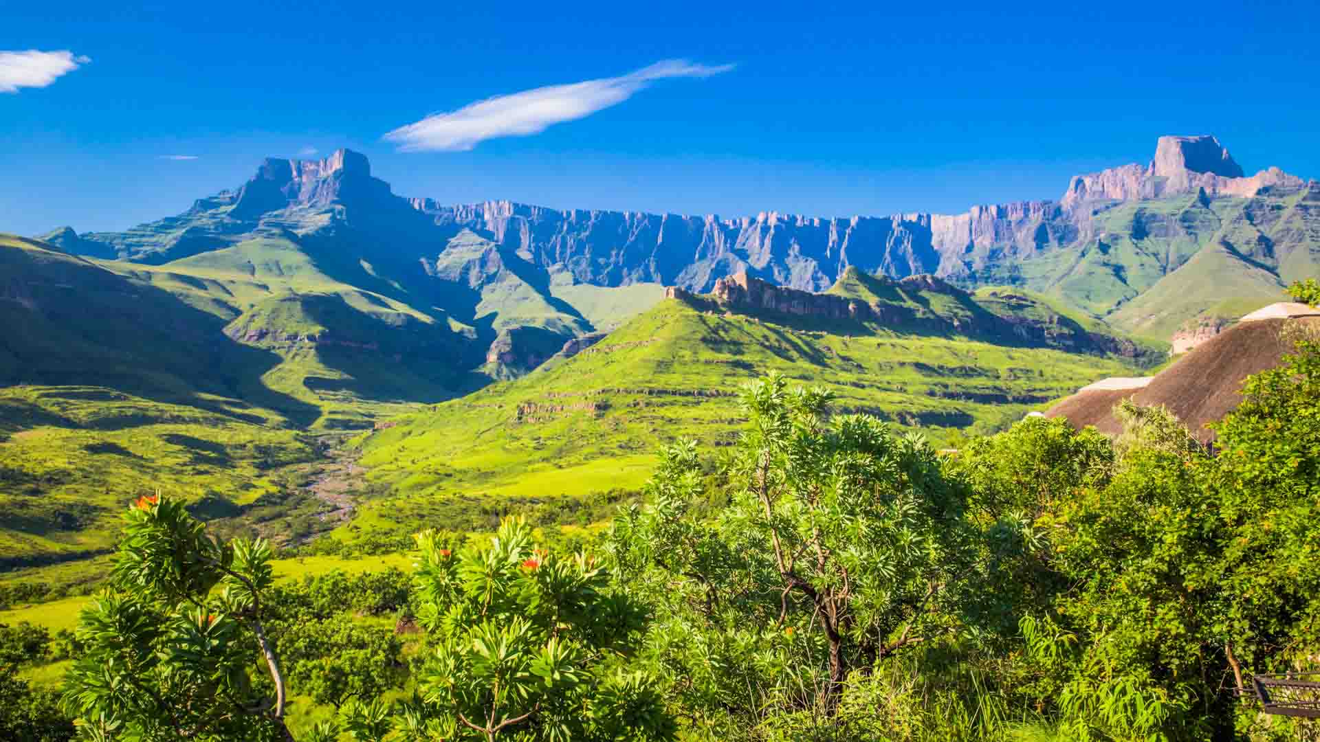 South Africa trips