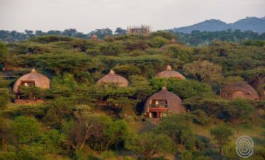 Serena Serengeti Challets in an ecosystem
