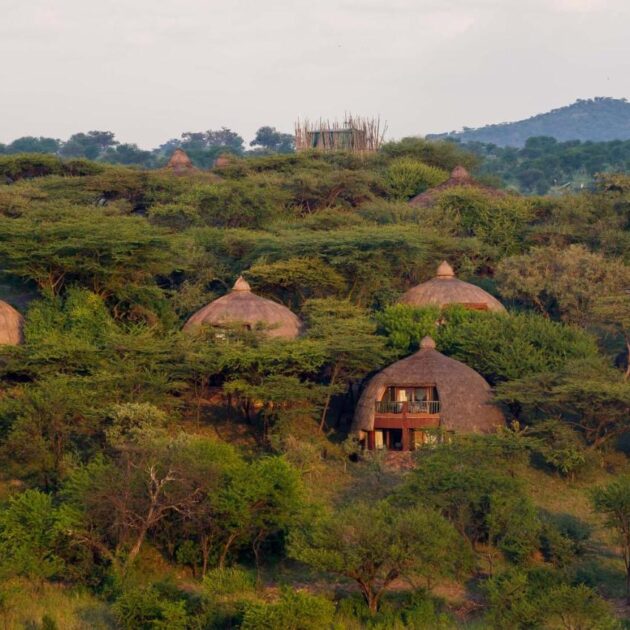 Discount safari price offers on low season