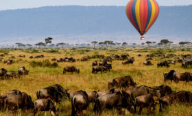 Africa safari packages