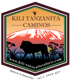 Kili Tanzanite Safaris climbing Kilimanjaro