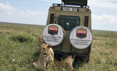 Tanzania safari price deals