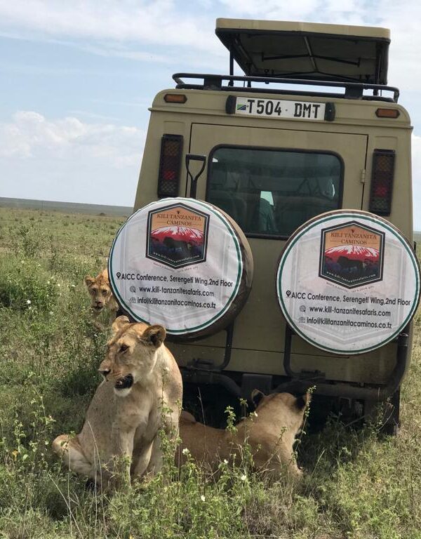 African safari travel tips