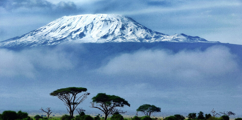 Shira Kilimanjaro