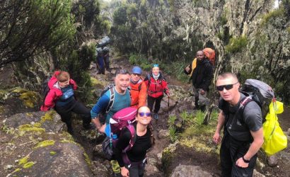 Kilimanjaro trails nature photo