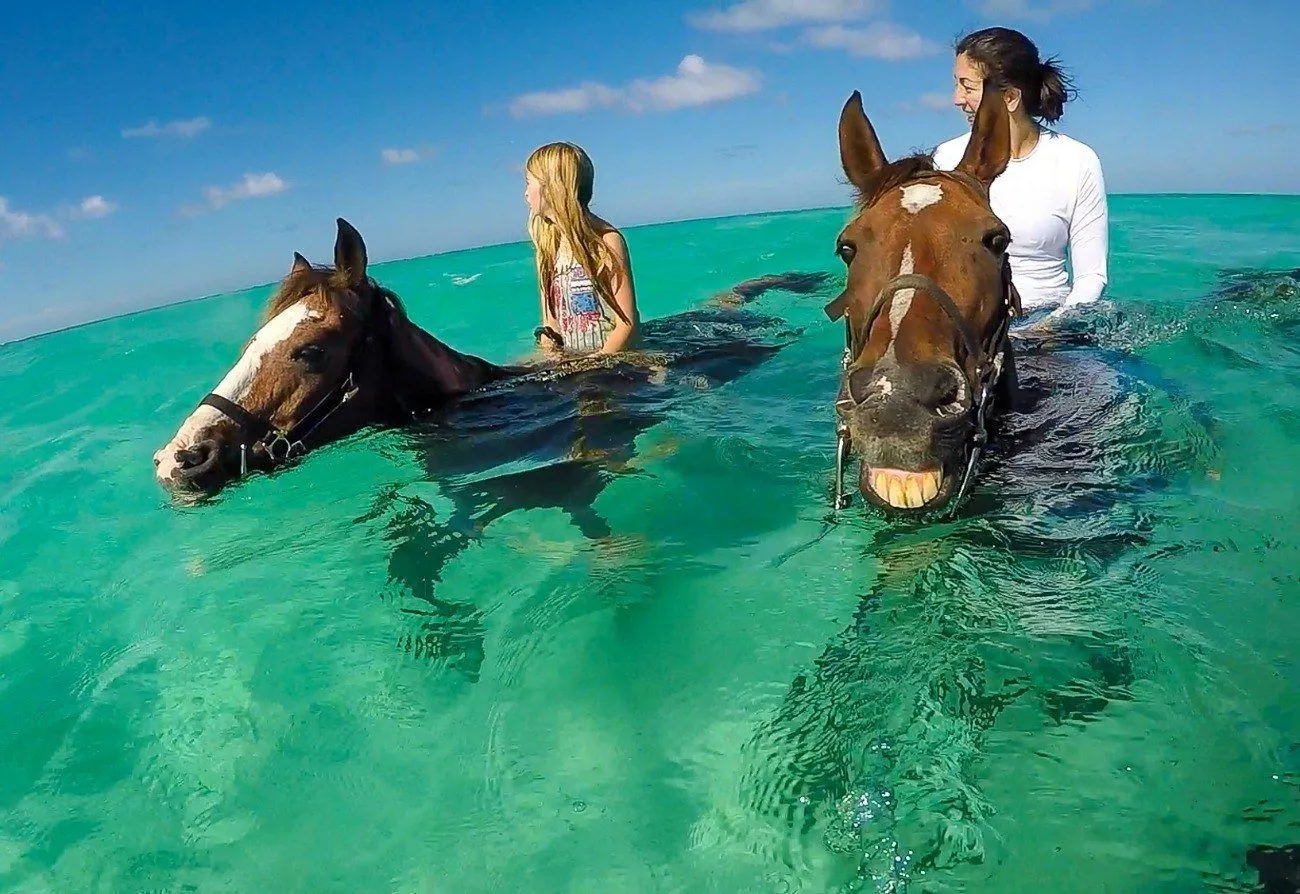 Zanzibar horse ride
