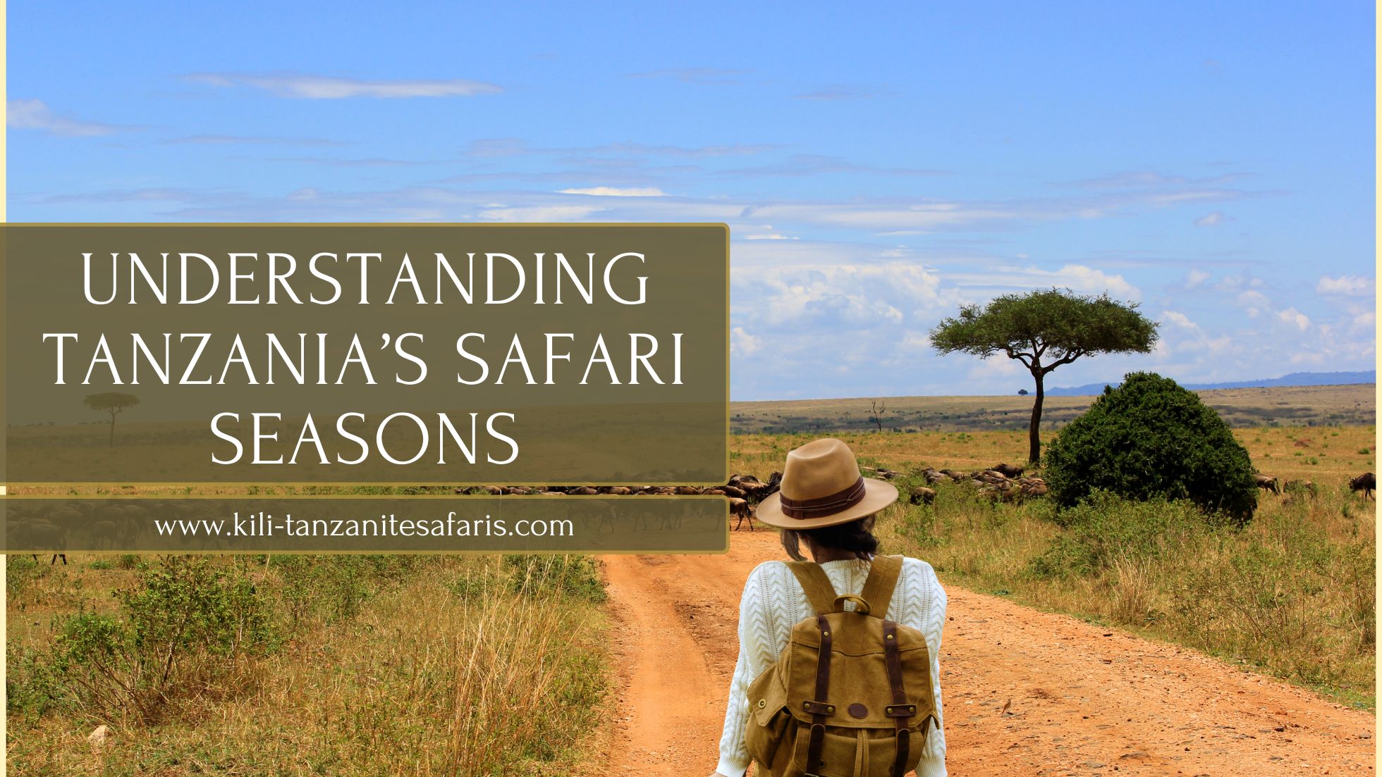 Kili Tanzaniate Safaris Blog Banner
