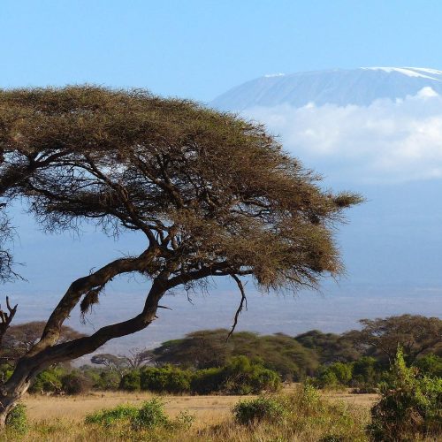 Kilimanjaro Mountain