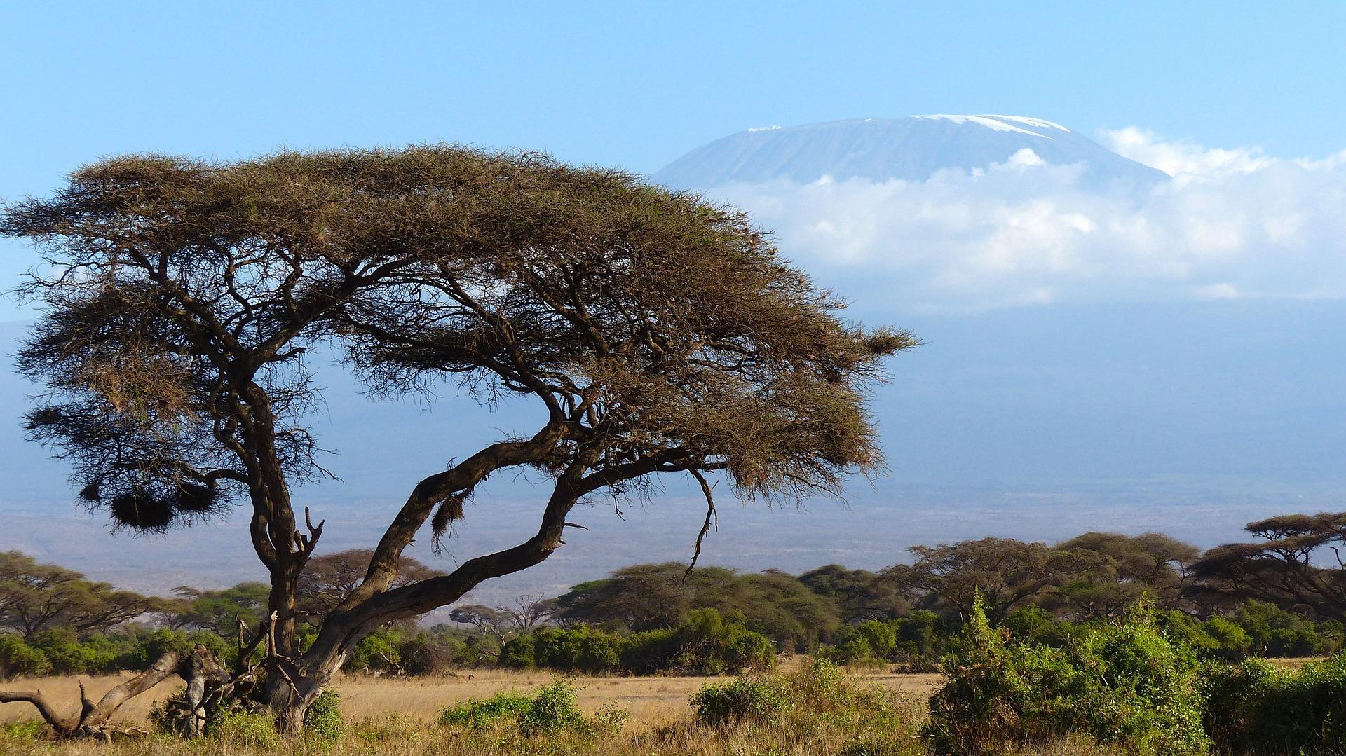 Kilimanjaro Mountain