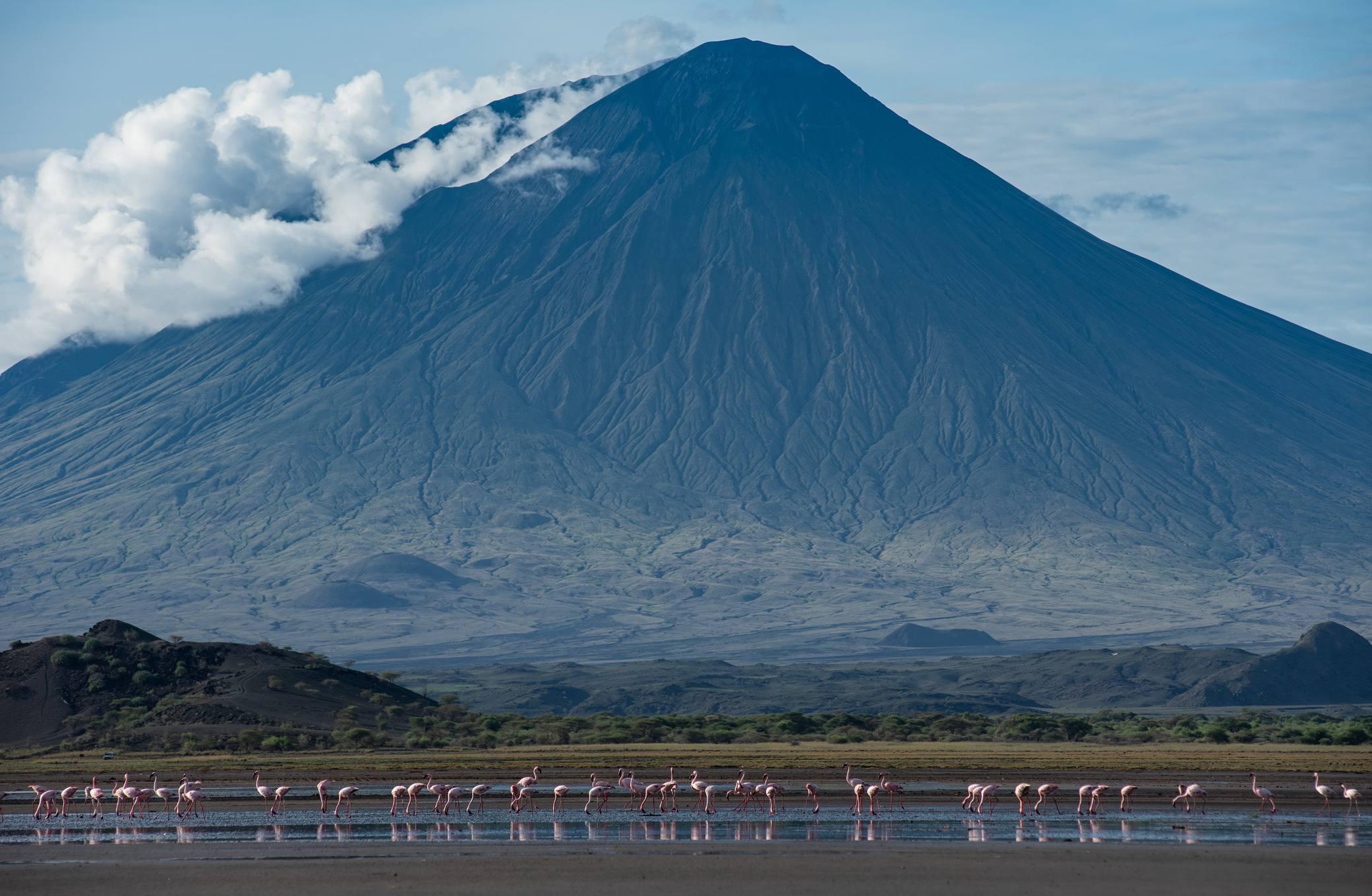 Lake Natron Flamingos