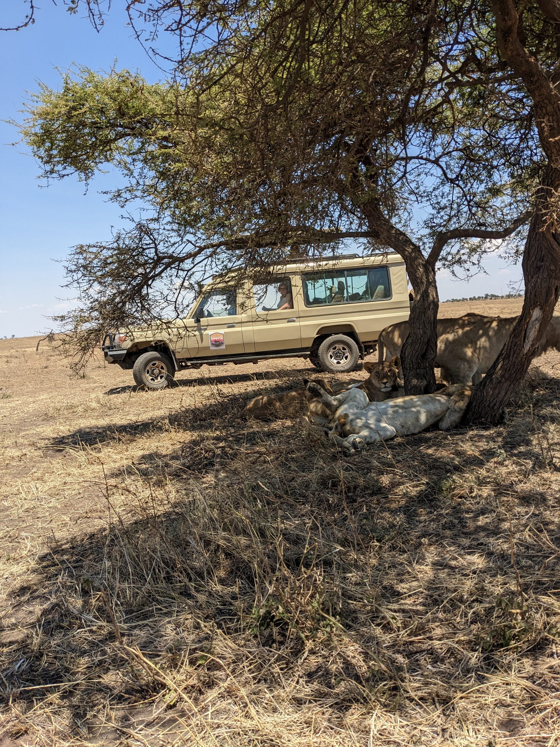 Tanzania safari seasons price comparison